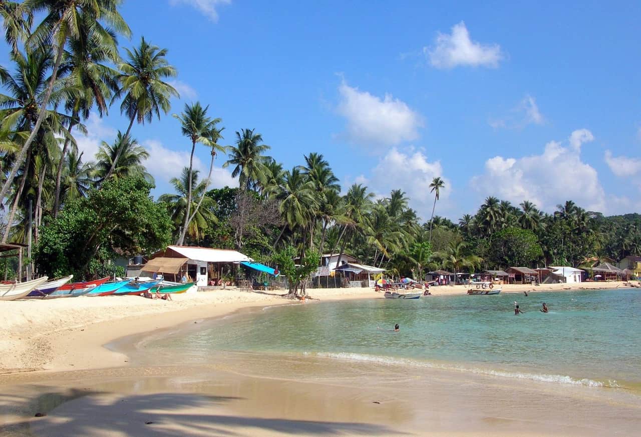 Partner With Us: What Drivers, Guides, Operators & Rental Shops Get From Private Driver Tours Sri Lanka